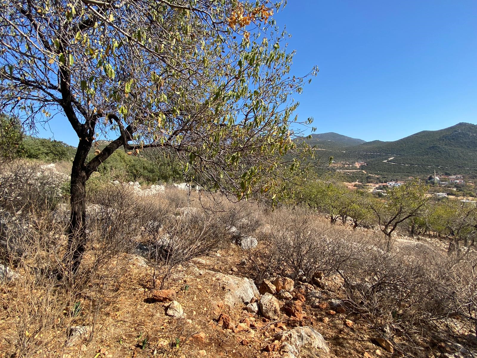 Kaşın gözde köylerinden Bayındır Asar mevkiinde deniz manzaralı arsa