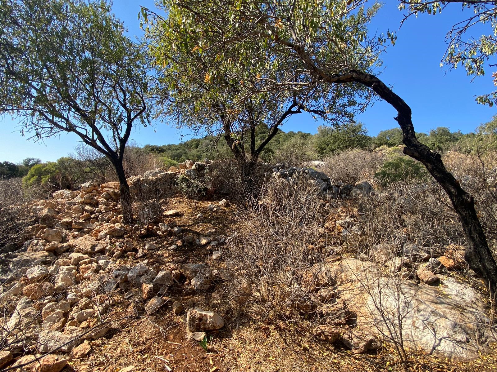 Kaşın gözde köylerinden Bayındır Asar mevkiinde deniz manzaralı arsa