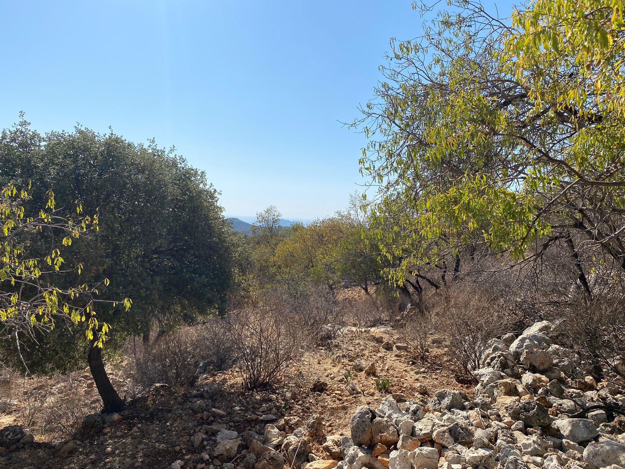 Kaşın gözde köylerinden Bayındır Asar mevkiinde deniz manzaralı arsa