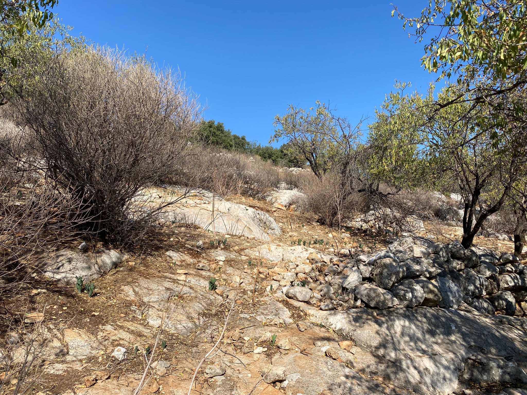 Kaşın gözde köylerinden Bayındır Asar mevkiinde deniz manzaralı arsa