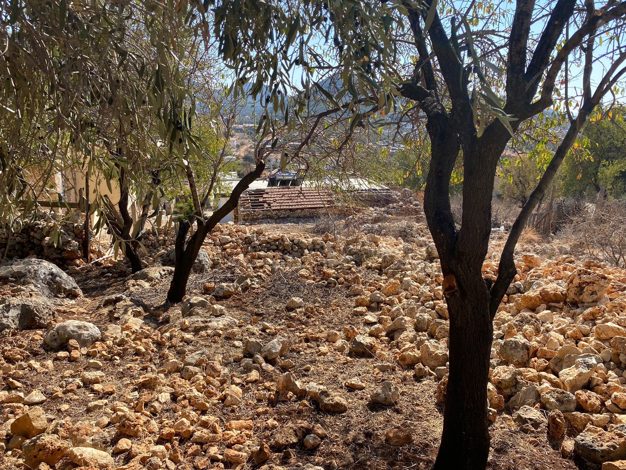 Kaşın gözde köylerinden Bayındır Asar mevkiinde deniz manzaralı arsa