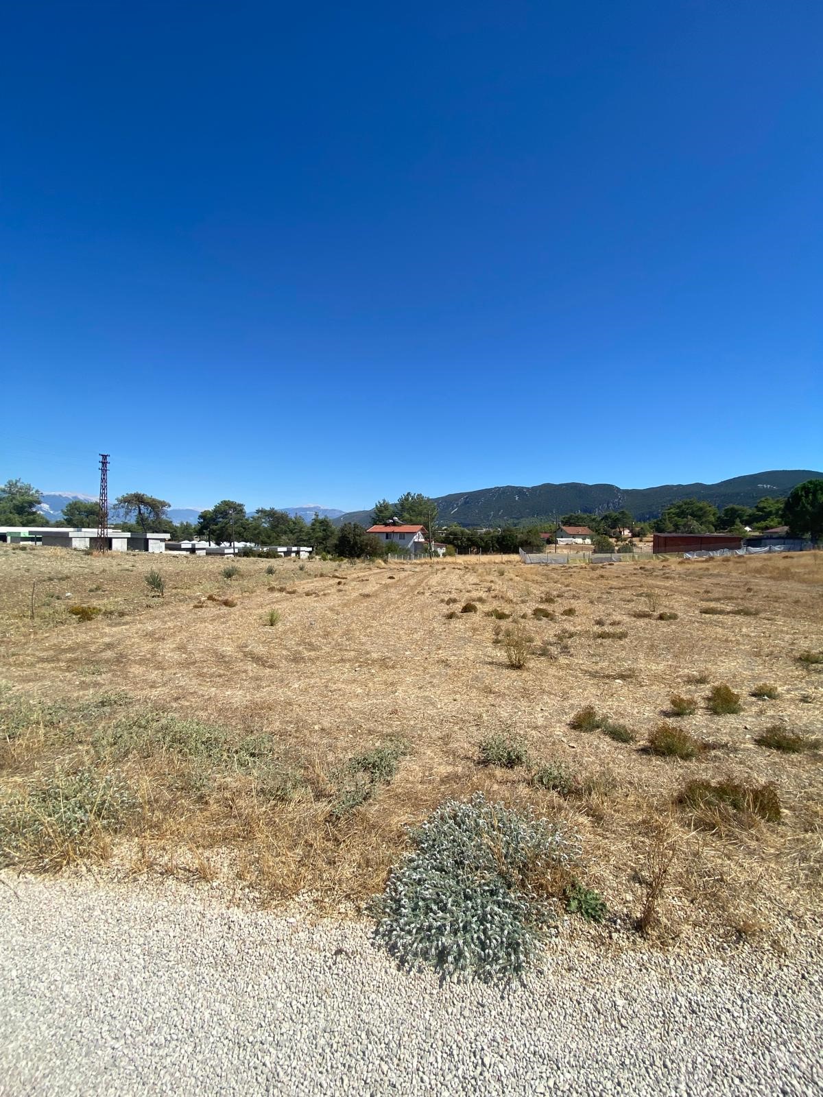 Kaşın Uğrar köyü Kırtepe mahallesinde kupon tarla