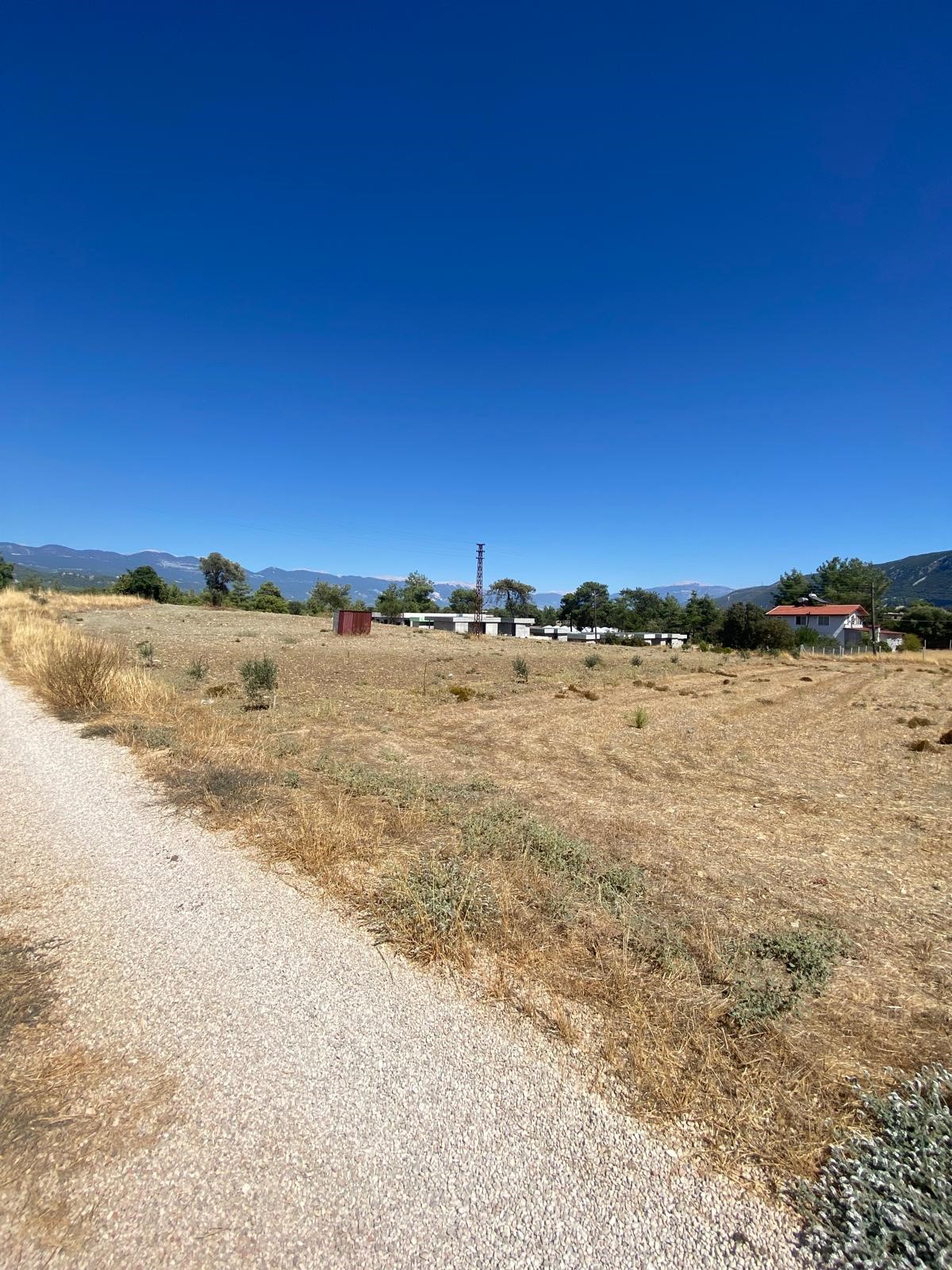 Kaşın Uğrar köyü Kırtepe mahallesinde kupon tarla