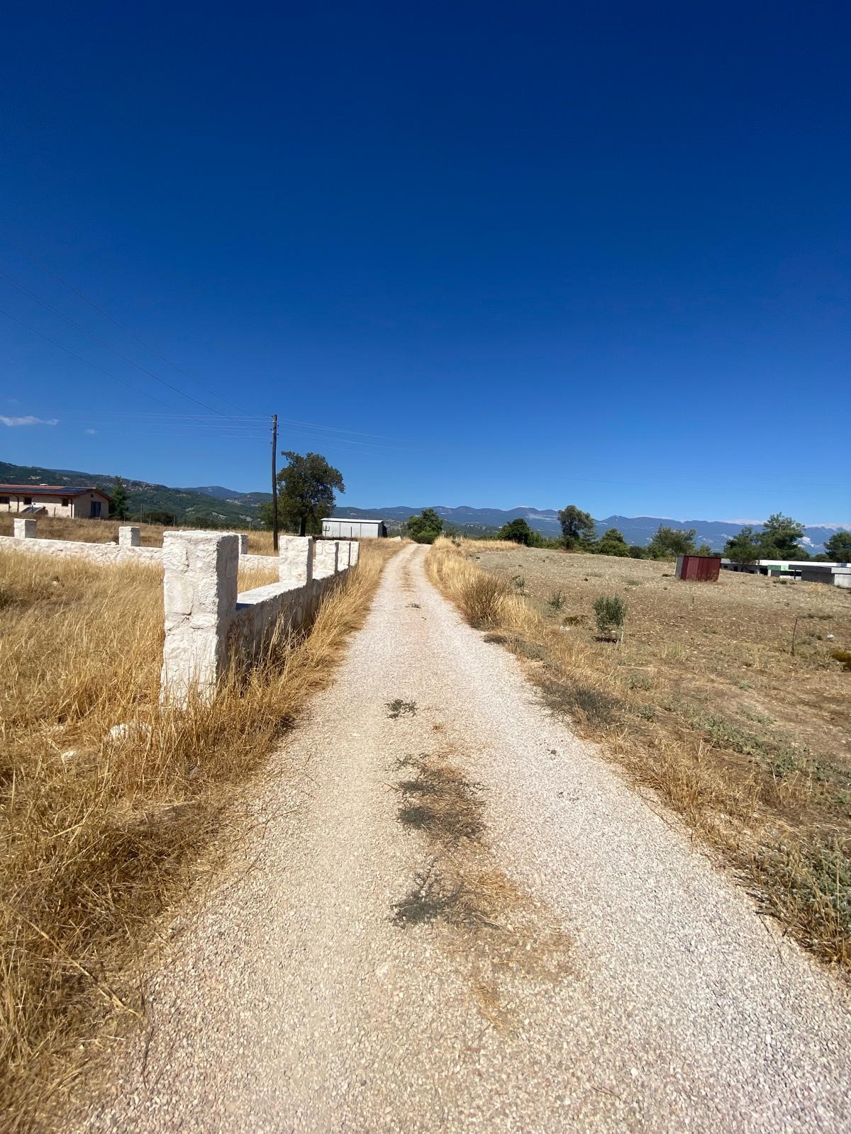 Kaşın Uğrar köyü Kırtepe mahallesinde kupon tarla