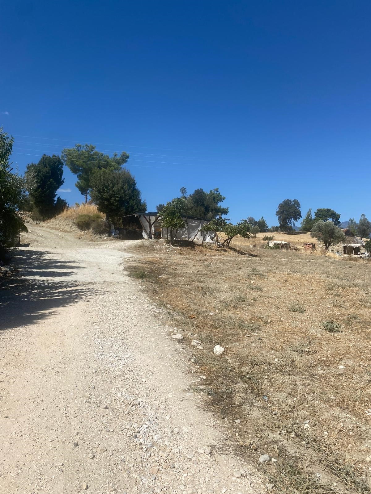 Kaşın en potansiyelli köylerinden Uğrar da tarla