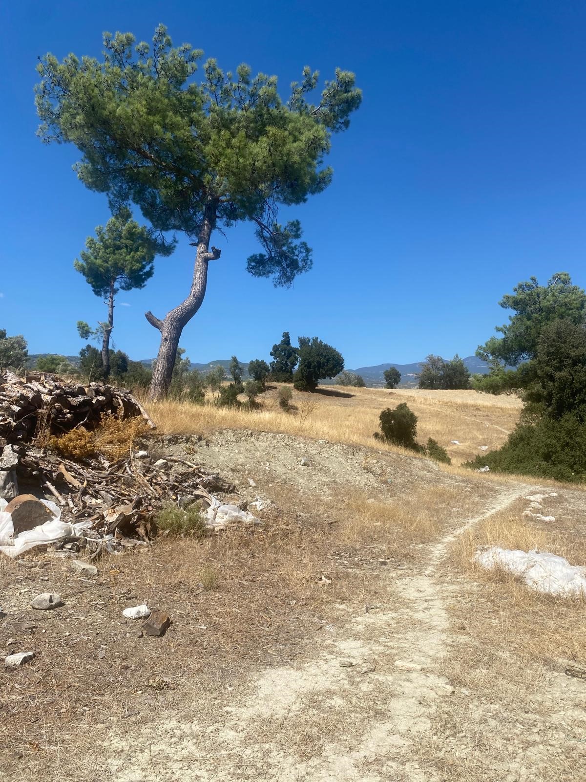 Kaşın en potansiyelli köylerinden Uğrar da tarla