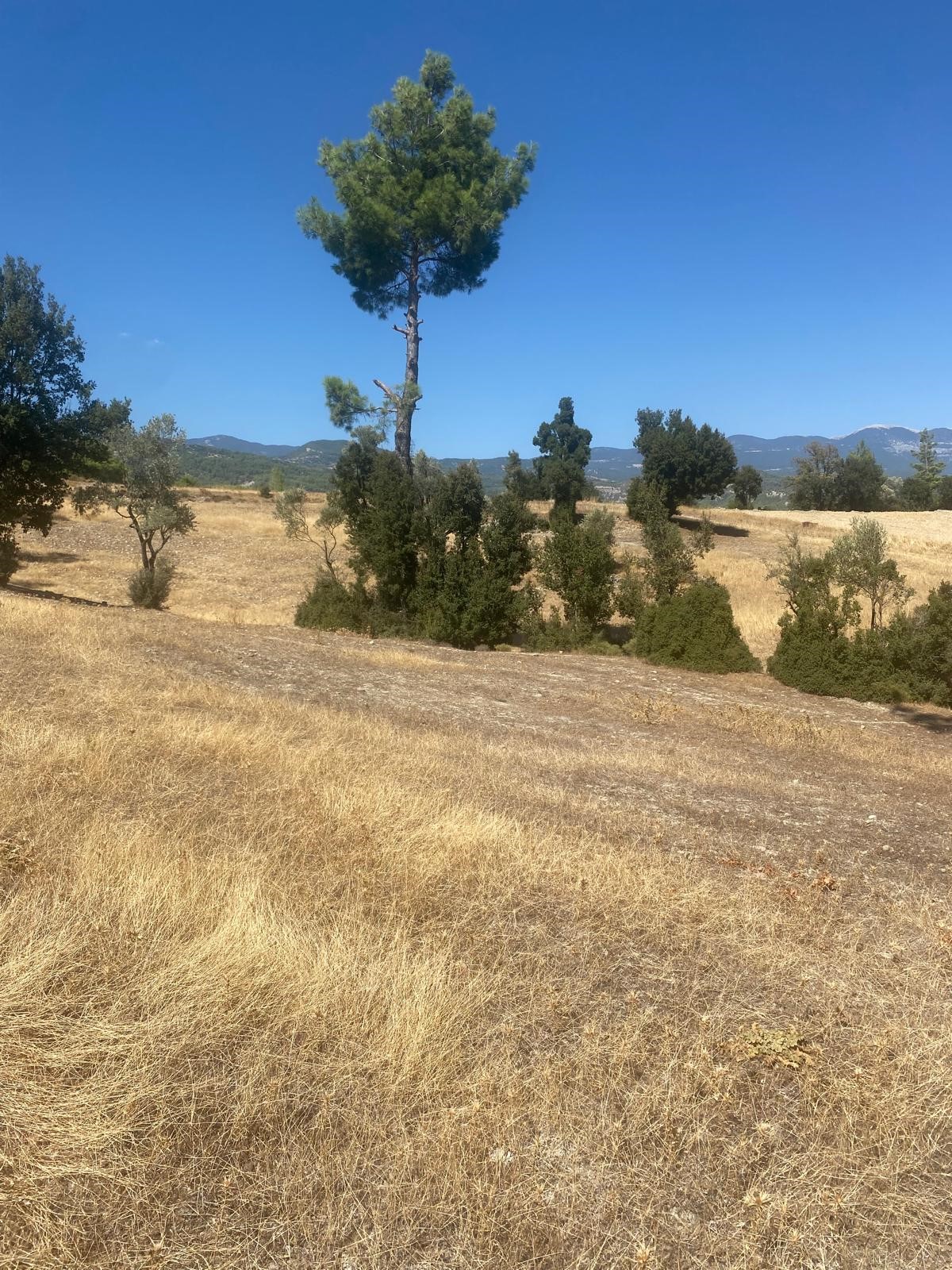 Kaşın en potansiyelli köylerinden Uğrar da tarla