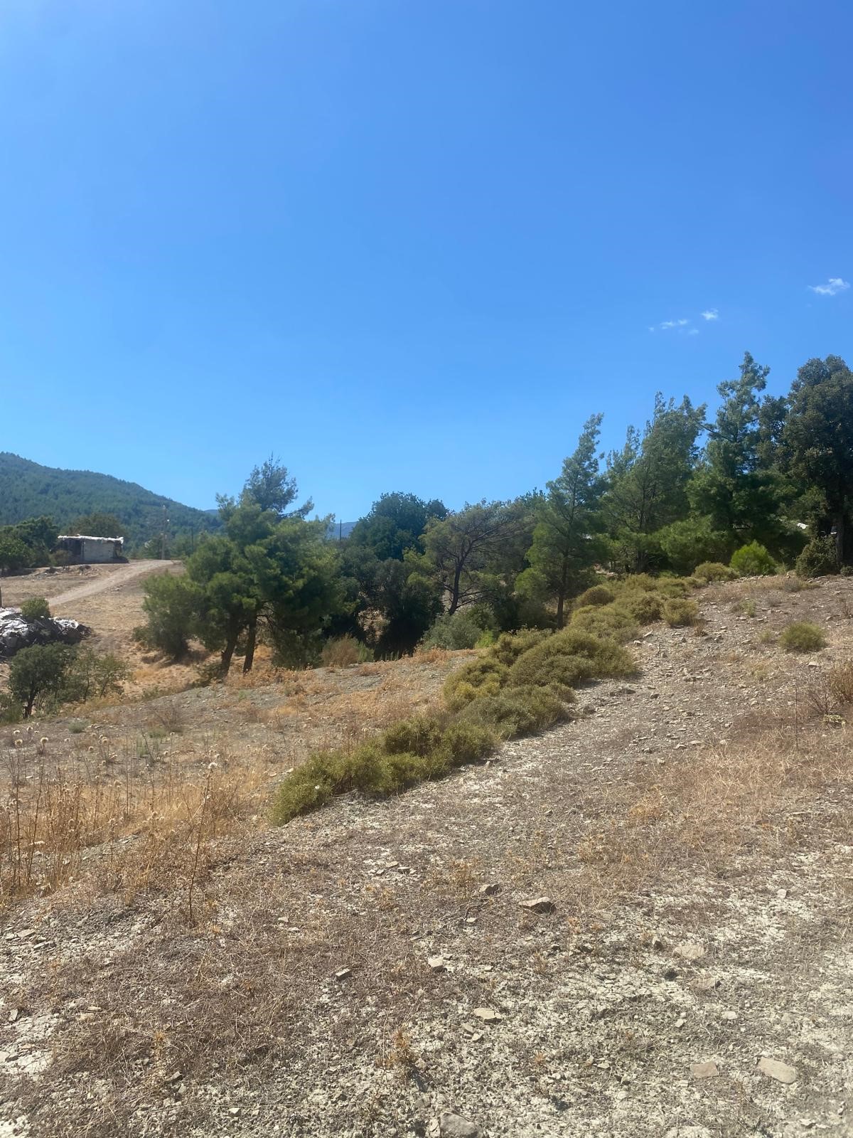 Kaşın en potansiyelli köylerinden Uğrar da tarla