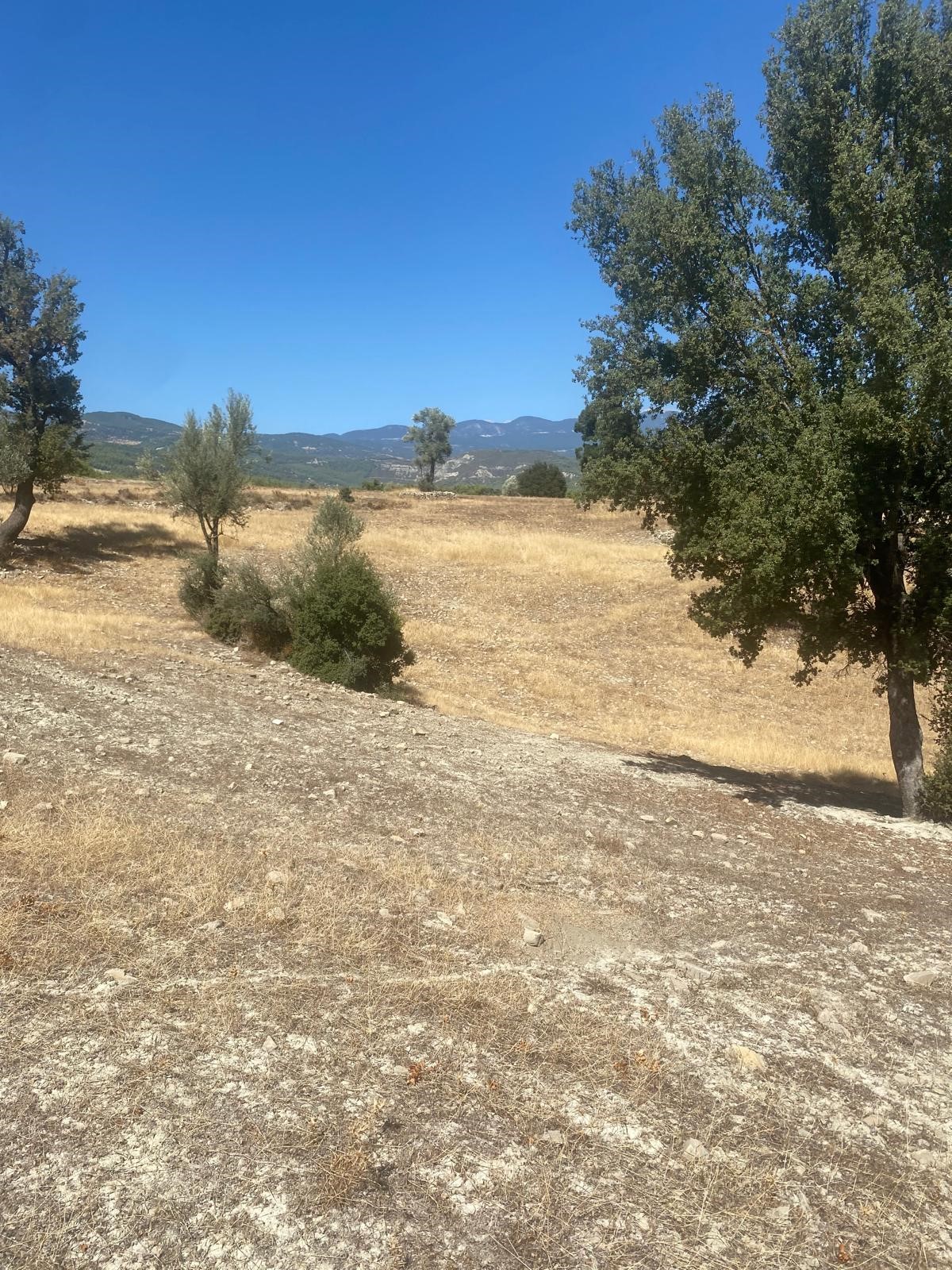 Kaşın en potansiyelli köylerinden Uğrar da tarla