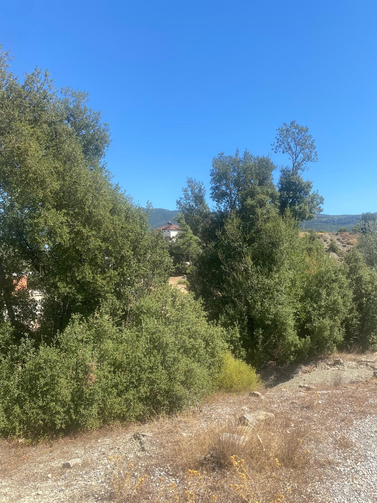 Kaşın en potansiyelli köylerinden Uğrar da tarla