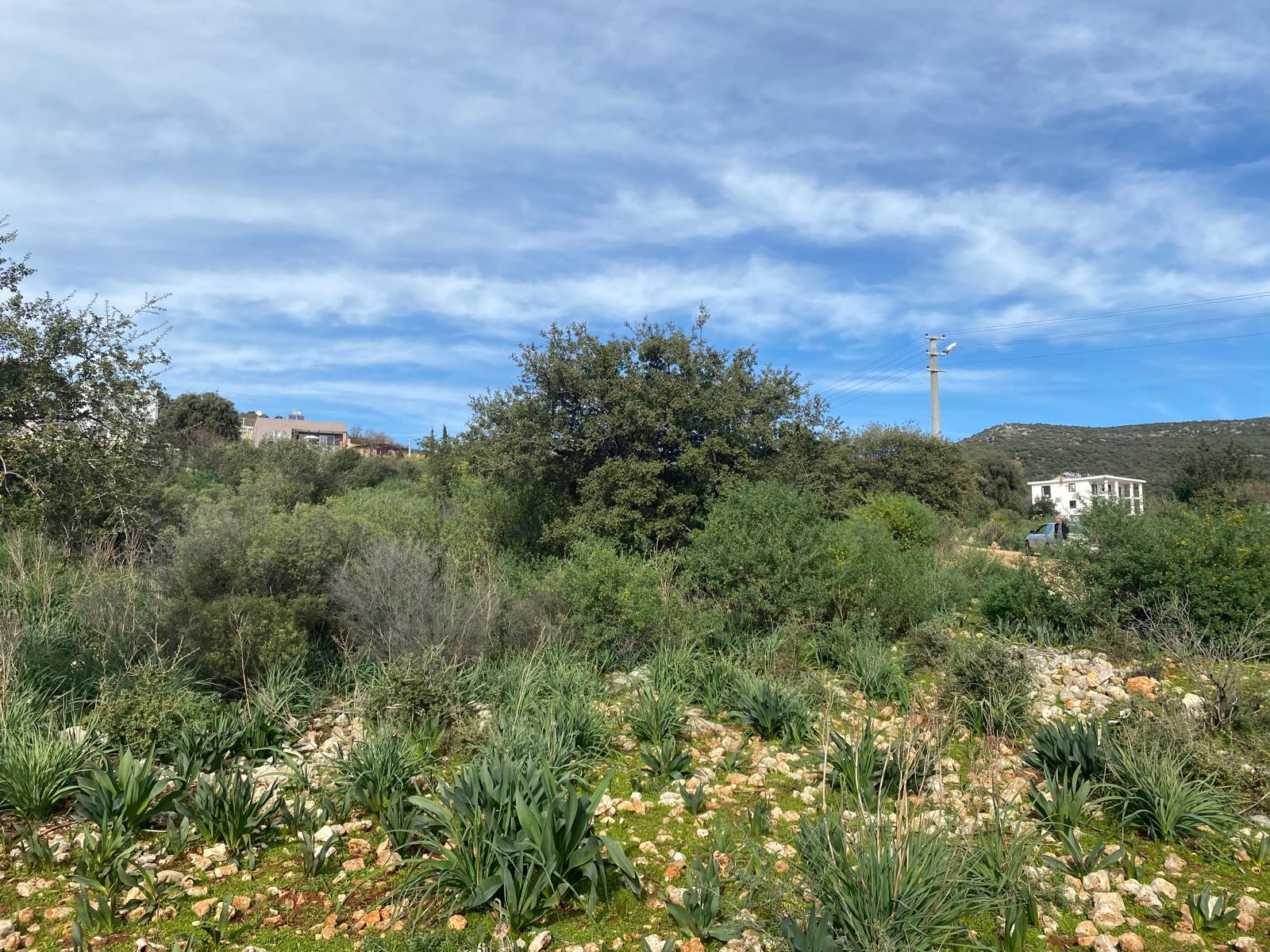 İMARI ONAYLANMIŞ  Satılık Tarla