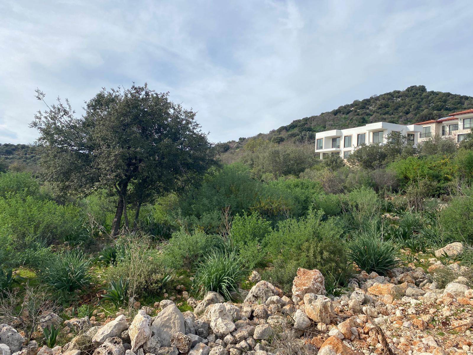 İMARI ONAYLANMIŞ  Satılık Tarla