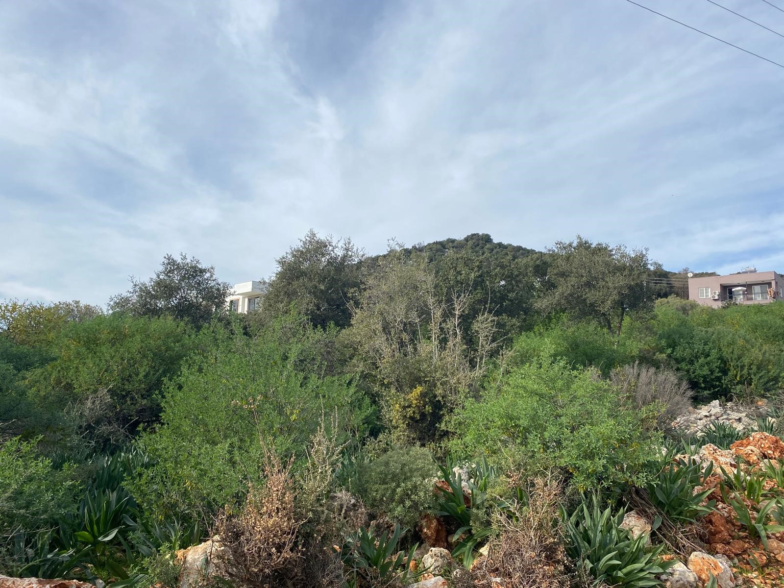 İMARI ONAYLANMIŞ  Satılık Tarla