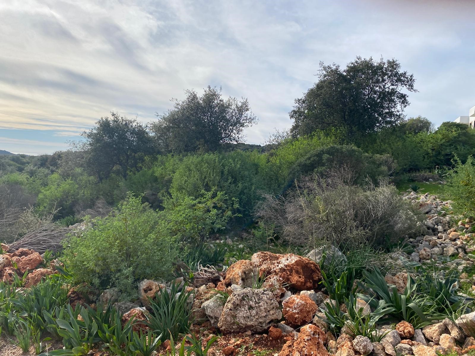 İMARI ONAYLANMIŞ  Satılık Tarla