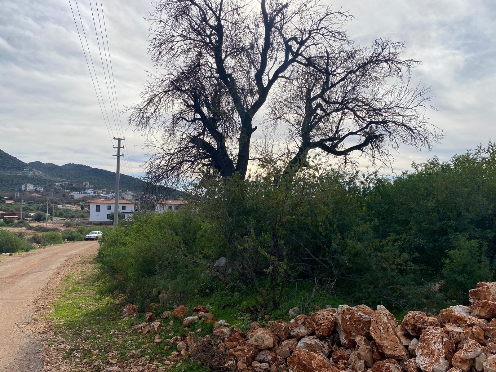 İMARI ONAYLANMIŞ  Satılık Tarla