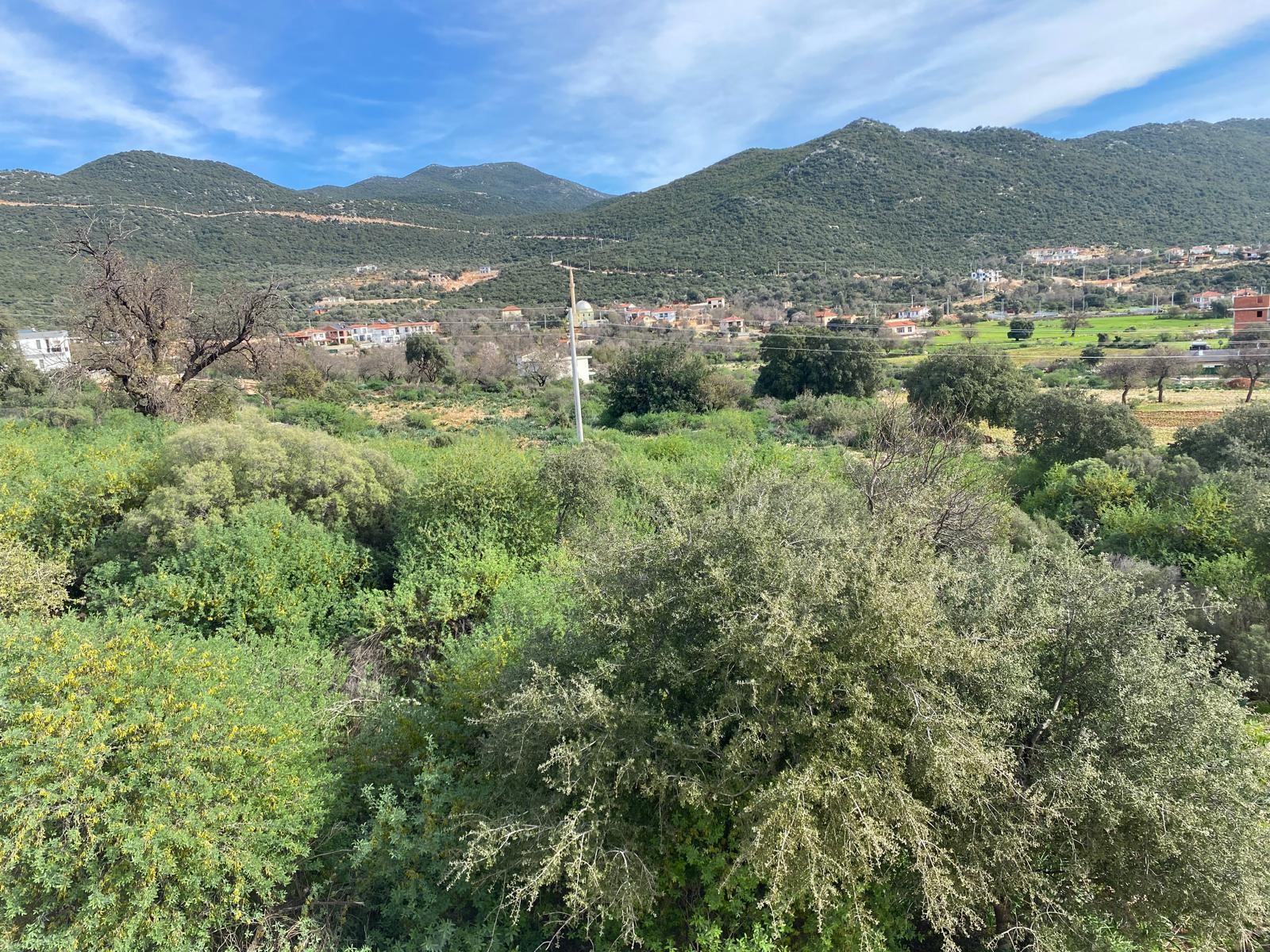 İMARI ONAYLANMIŞ  Satılık Tarla