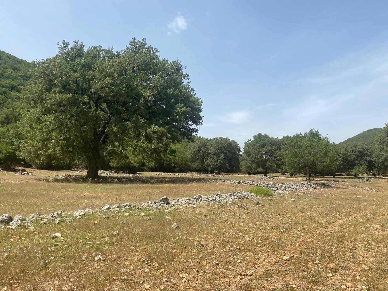 Gelişen bölgede yatırımlık tarla