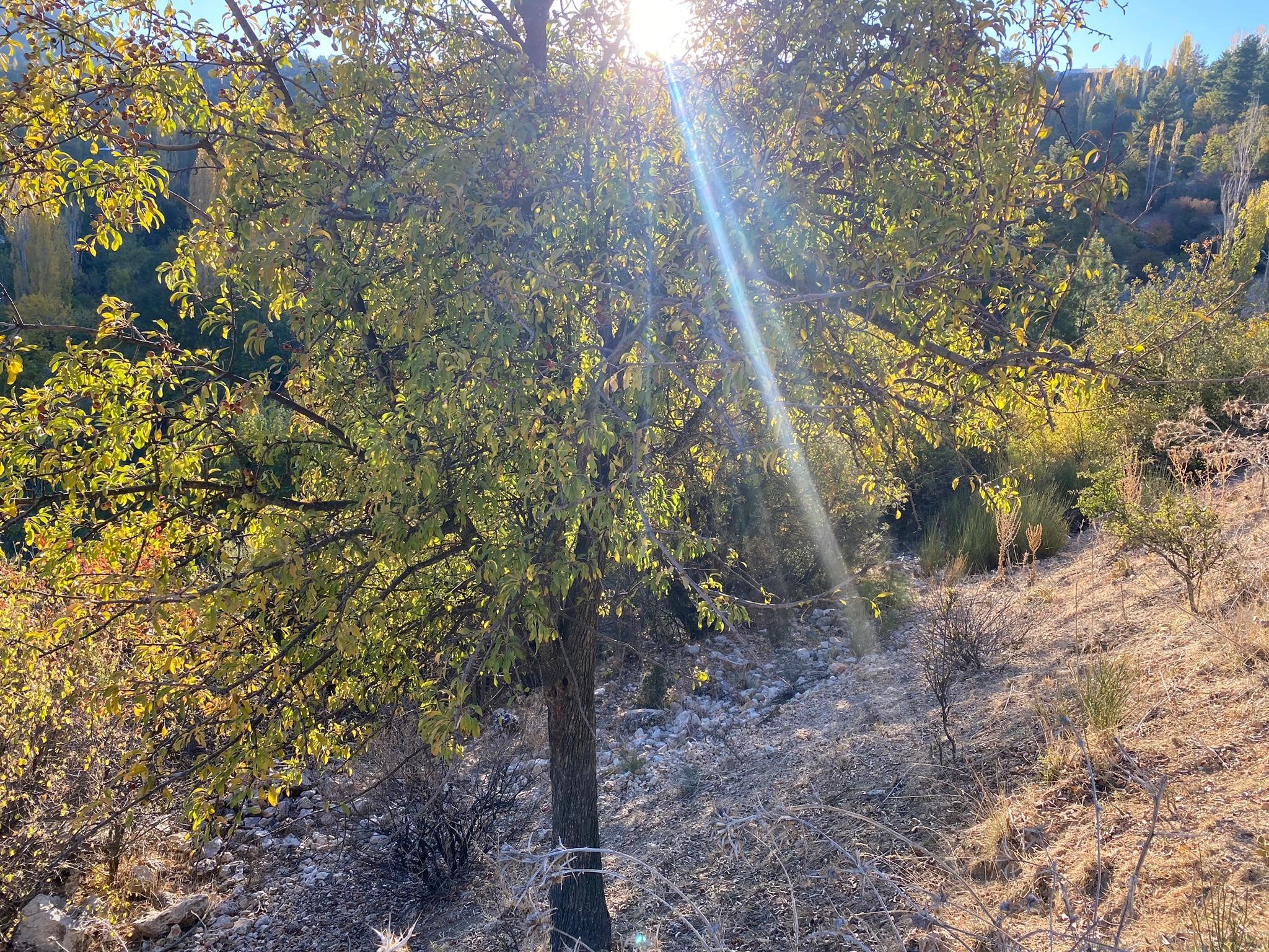 Kaş Beldibi'nde Doğa Manzaralı Satılık Tarla (3735 m²)