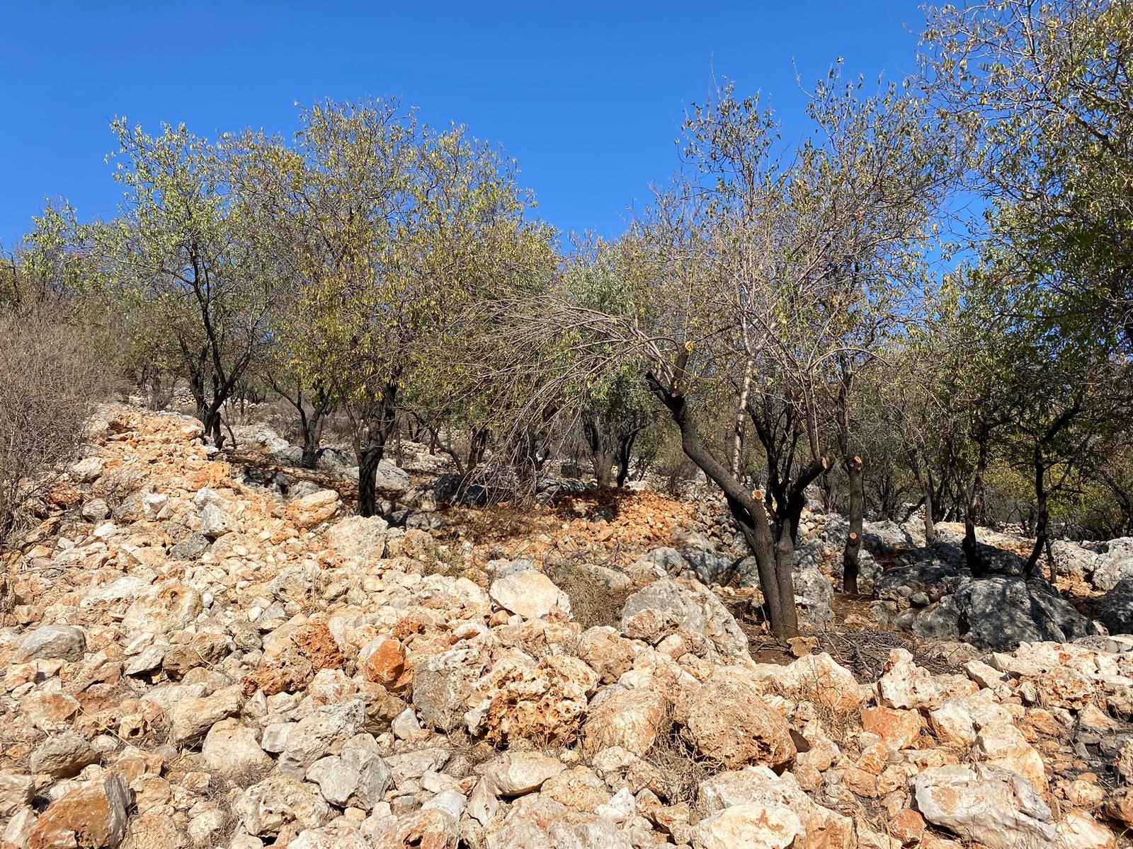 Kaşın gözde köylerinden Bayındır Asar mevkiinde deniz manzaralı arsa