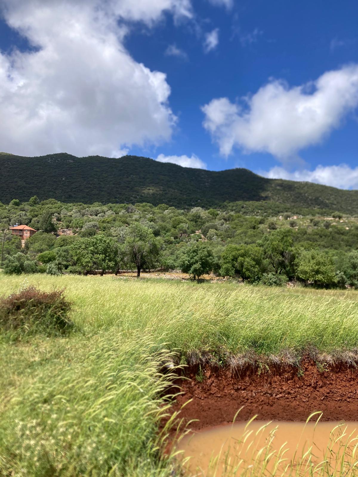 Kekova ya yakın yatırım için ideal tarla